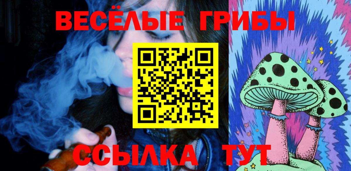 Галлюциногенные грибы GOLDEN TEACHER  Галлюциногенные грибы Psilocybine cubensis  как найти закладки  Будённовск  Вход с VPN 